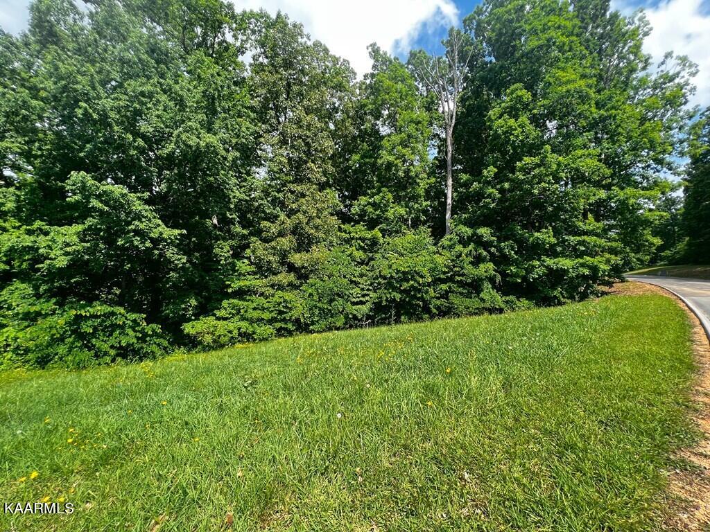 1937 Turner Landing Road Russellville, TN 37860 - Photo 2 of 19 607121_3