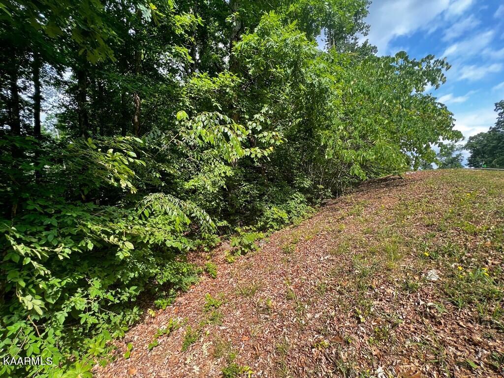 1937 Turner Landing Road Russellville, TN 37860 - Photo 3 of 19 607121_4
