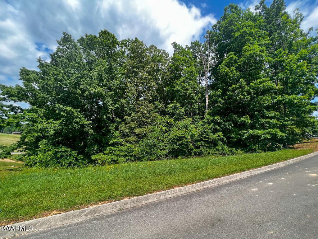 1937 Turner Landing Road Russellville, TN 37860 - Photo 4 of 19 607121_0