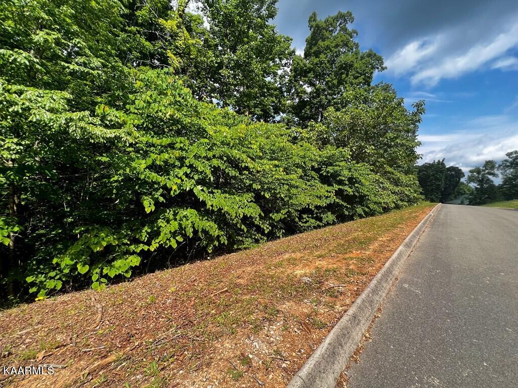 1937 Turner Landing Road Russellville, TN 37860 - Photo 5 of 19 607121_5