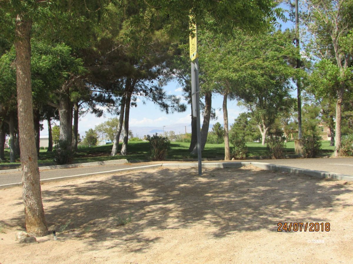 238 South Warner Street Ridgecrest, CA 93555 - Photo 3 of 15 a view of a street with a tree