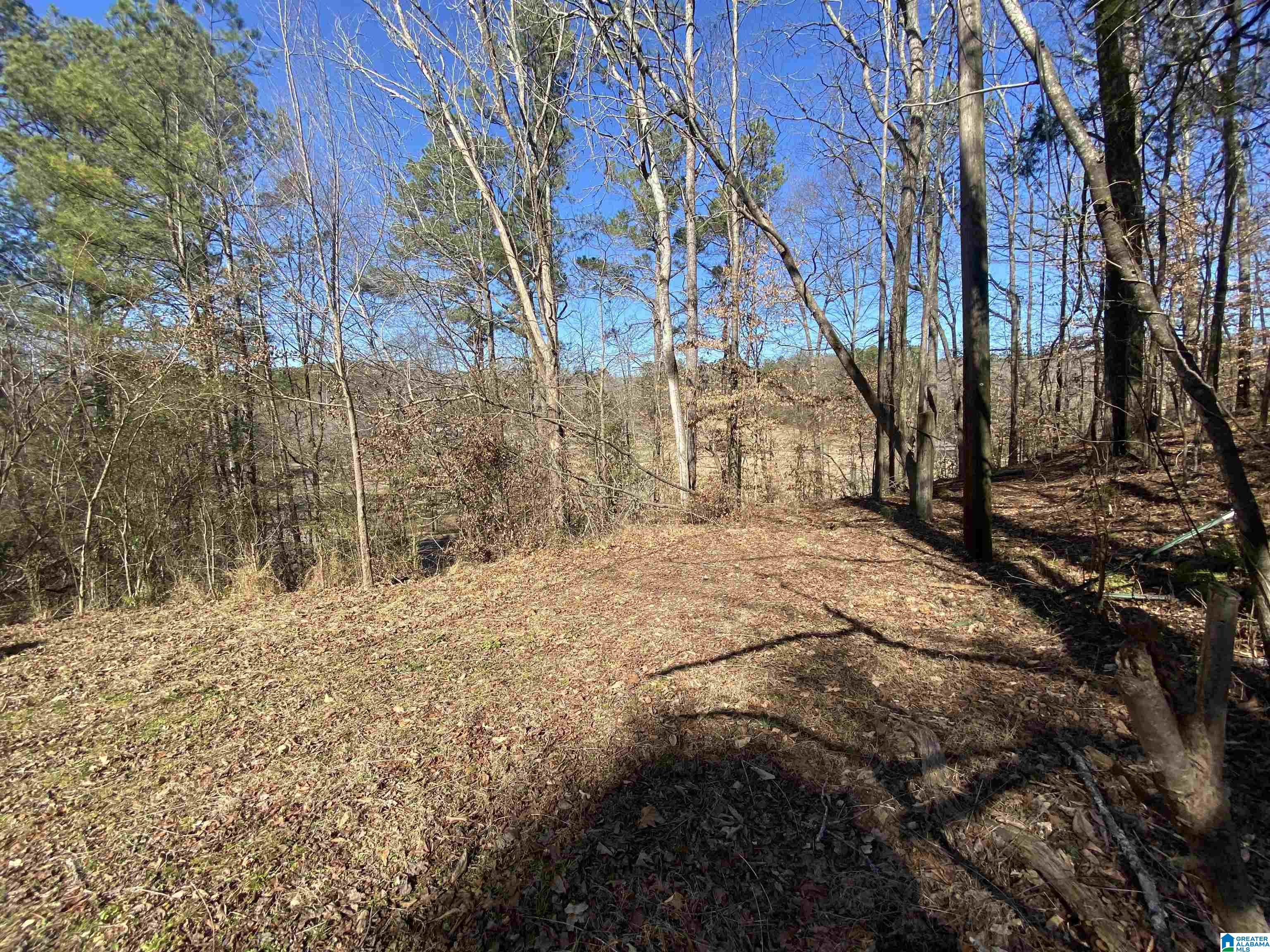 524 Highway 204 Ohatchee, AL 36271 - Photo 39 of 42