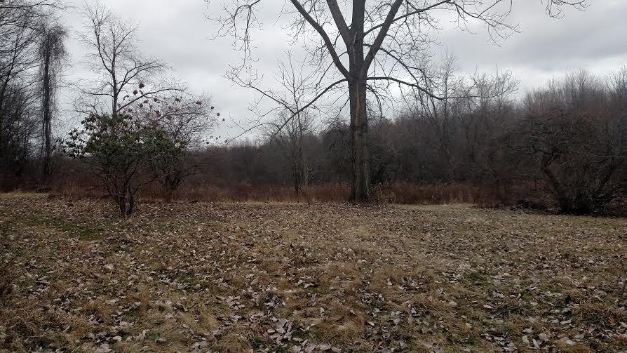 1530 Snake Run Road Wampum, PA 16157 - Photo 2 of 13