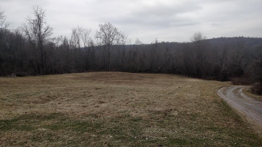 1530 Snake Run Road Wampum, PA 16157 - Photo 3 of 13