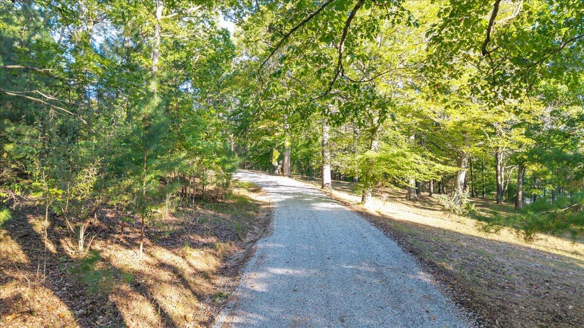 1182 Rabbit Drive Thaxton, VA 24174 - Photo 86 of 90 117-DJI_20261001173941_0330_D