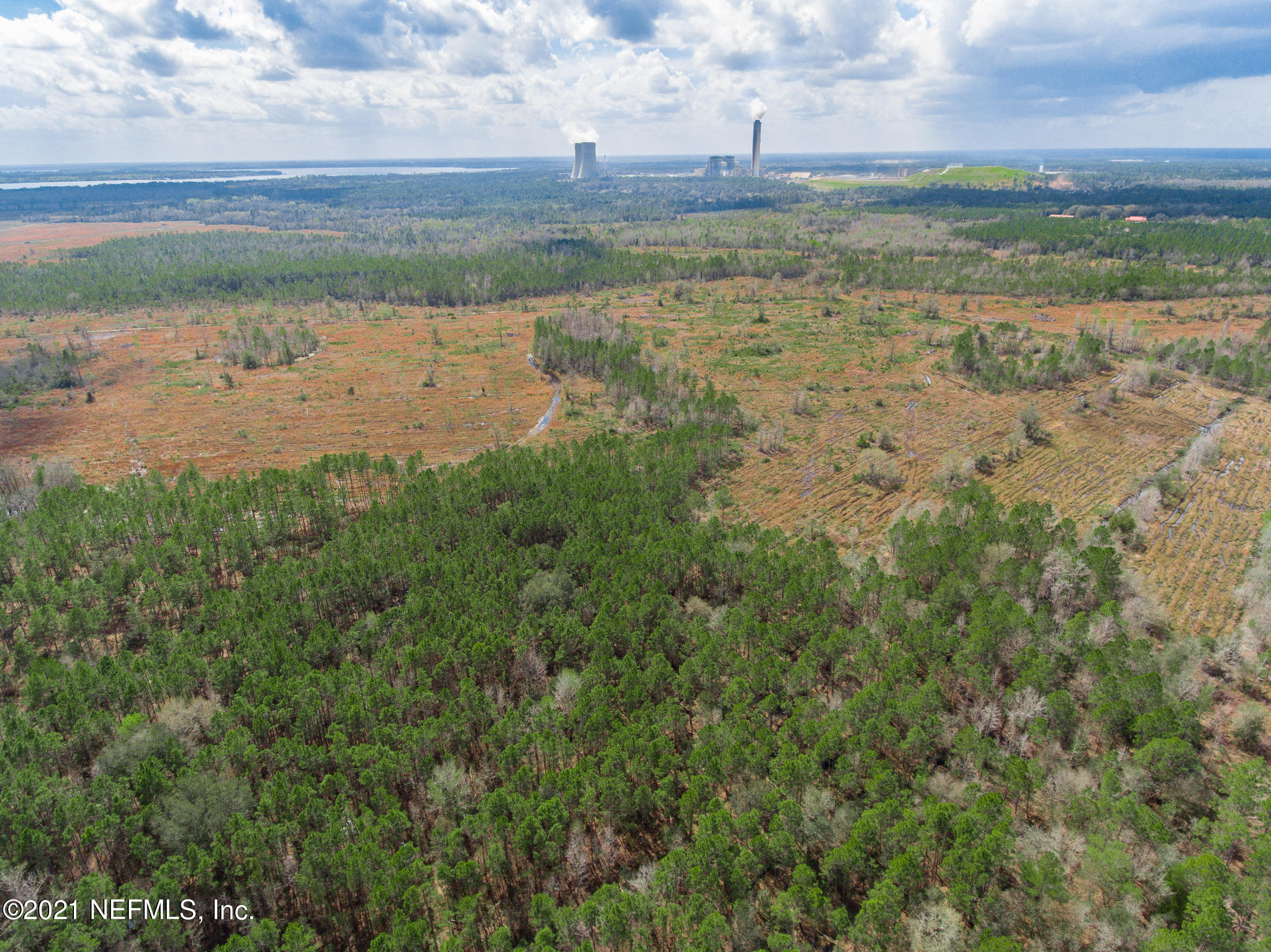 Tbd Millican Road Palatka, FL 32177 - Photo 8 of 15 401 millican rd - websized 10