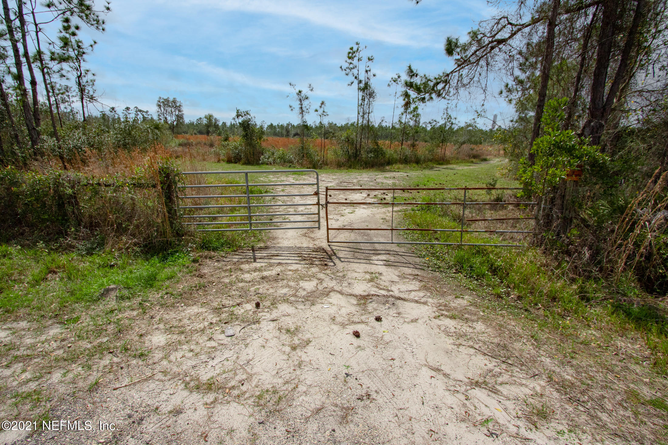 Tbd Millican Road Palatka, FL 32177 - Photo 10 of 15 401 millican rd - websized 12