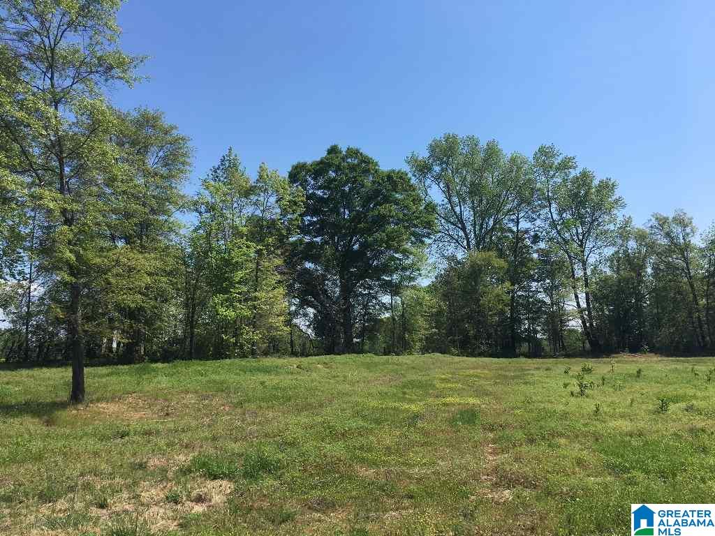 East Mill Street, Unit 37 Lineville, AL 36266 - Photo 9 of 15