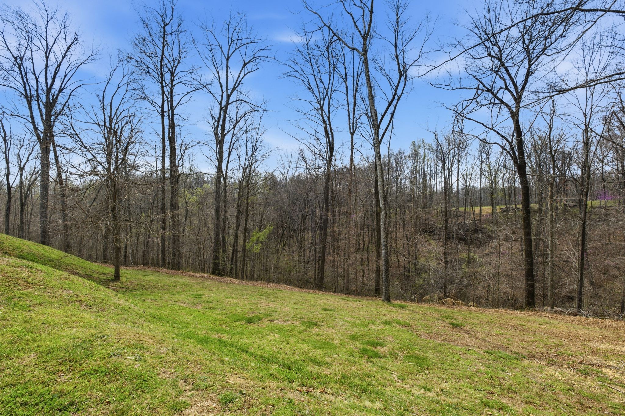 2857 New Hope Road Hendersonville, TN 37075 - Photo 19 of 22