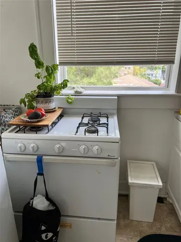 a room with furniture and a potted plant