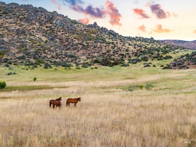 $1,255,000 | 12000 Holbrook Lane, Ola, ID 83657