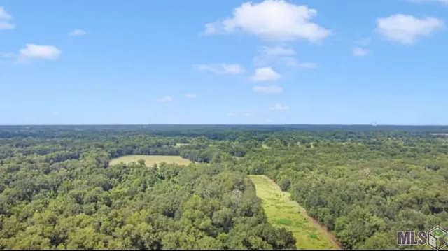 $455,000 | Lot A Island Road, Jarreau, LA 70749