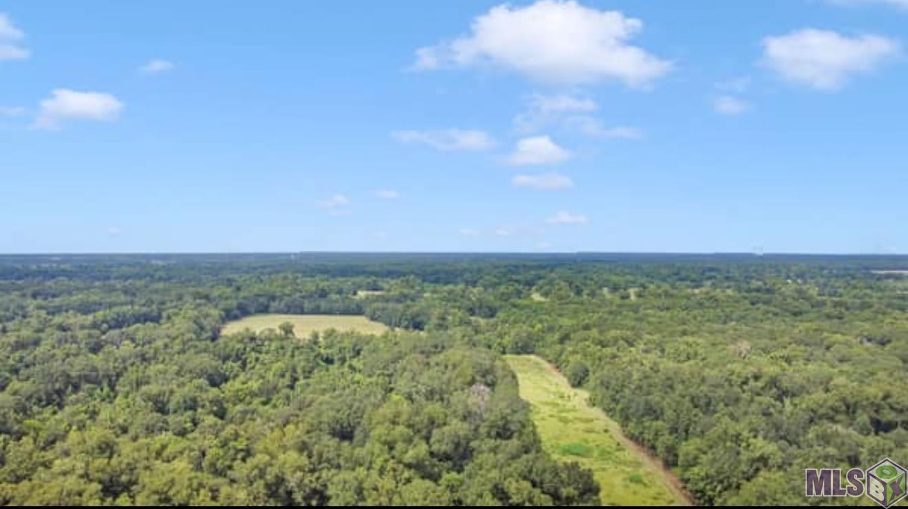 Lot A Island Road Jarreau, LA 70749 - Photo 13 of 22