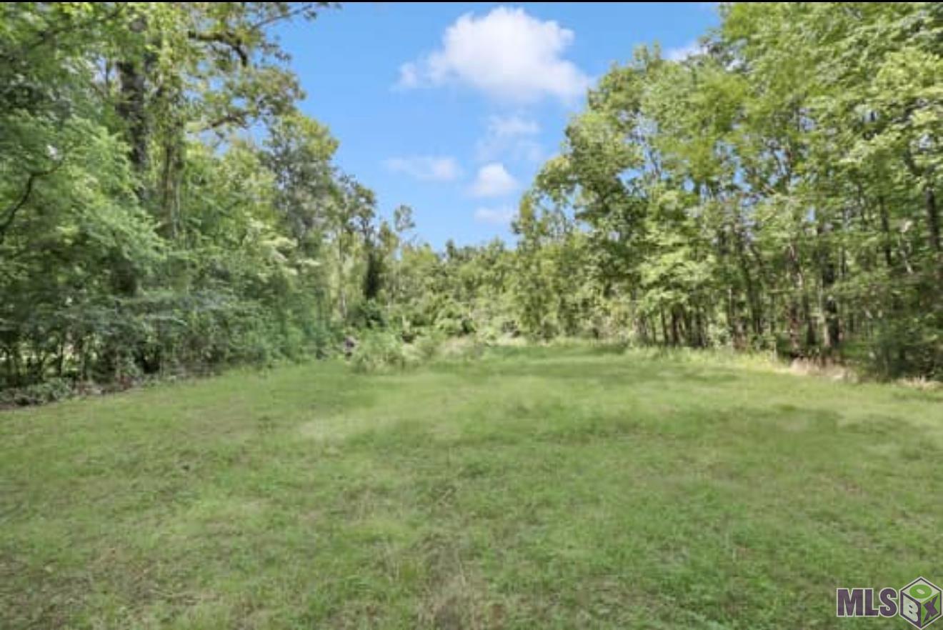 Lot A Island Road Jarreau, LA 70749 - Photo 16 of 22