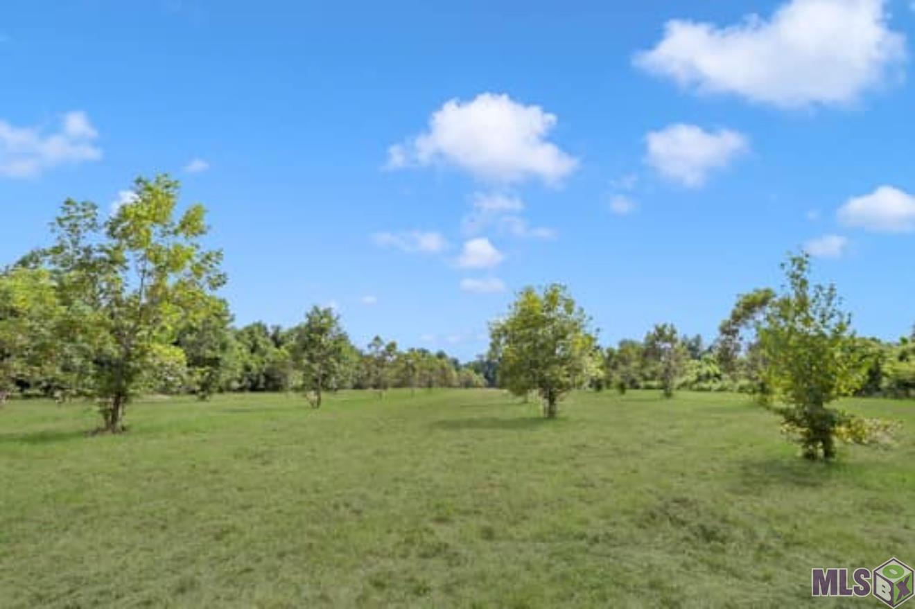 Lot A Island Road Jarreau, LA 70749 - Photo 17 of 22