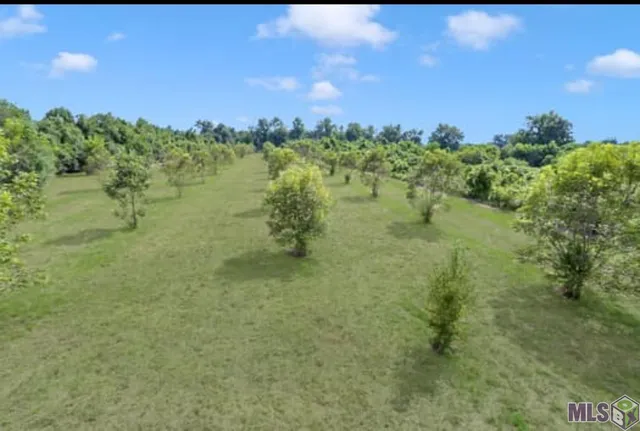 $455,000 | Lot A Island Road, Jarreau, LA 70749