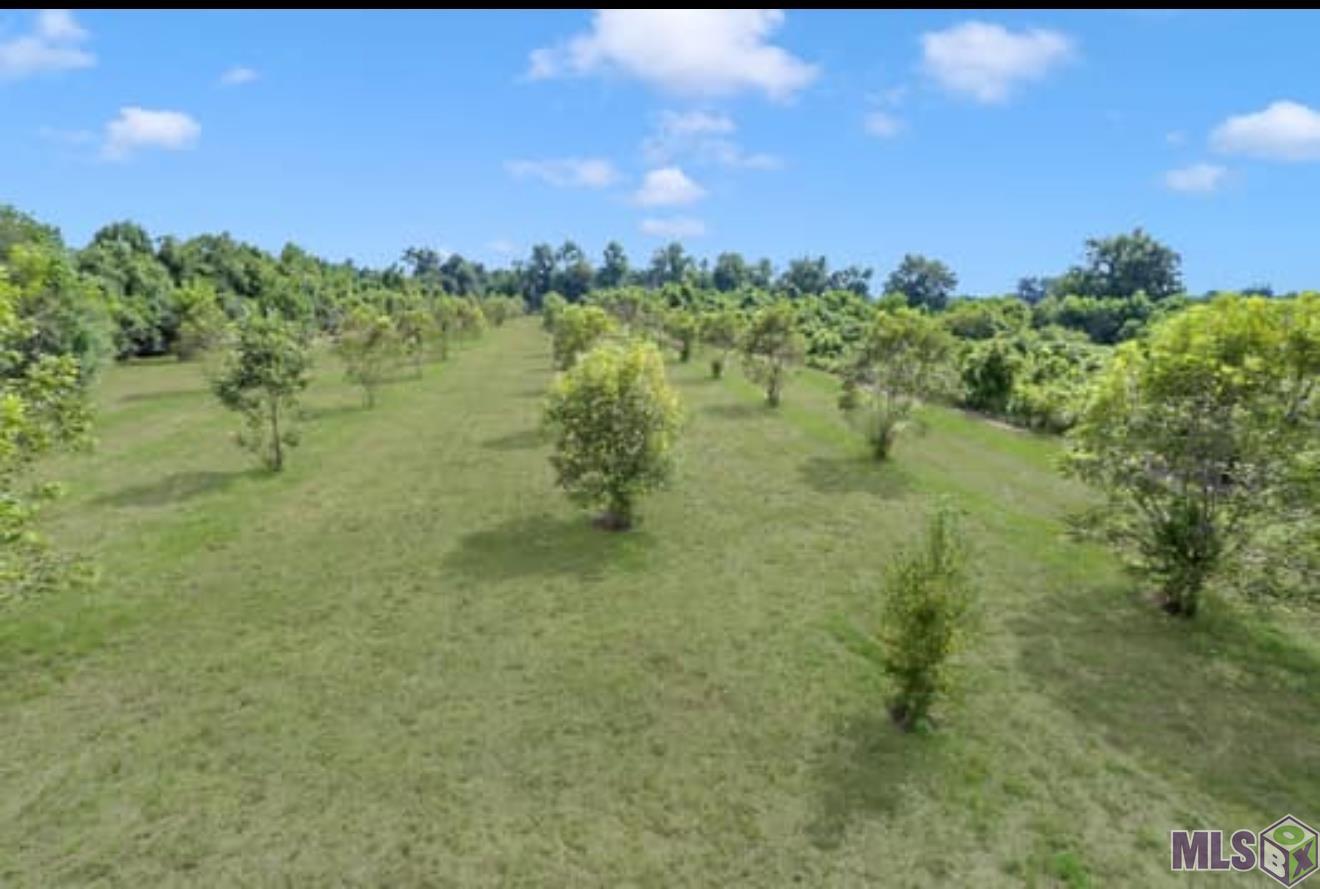 Lot A Island Road Jarreau, LA 70749 - Photo 18 of 22