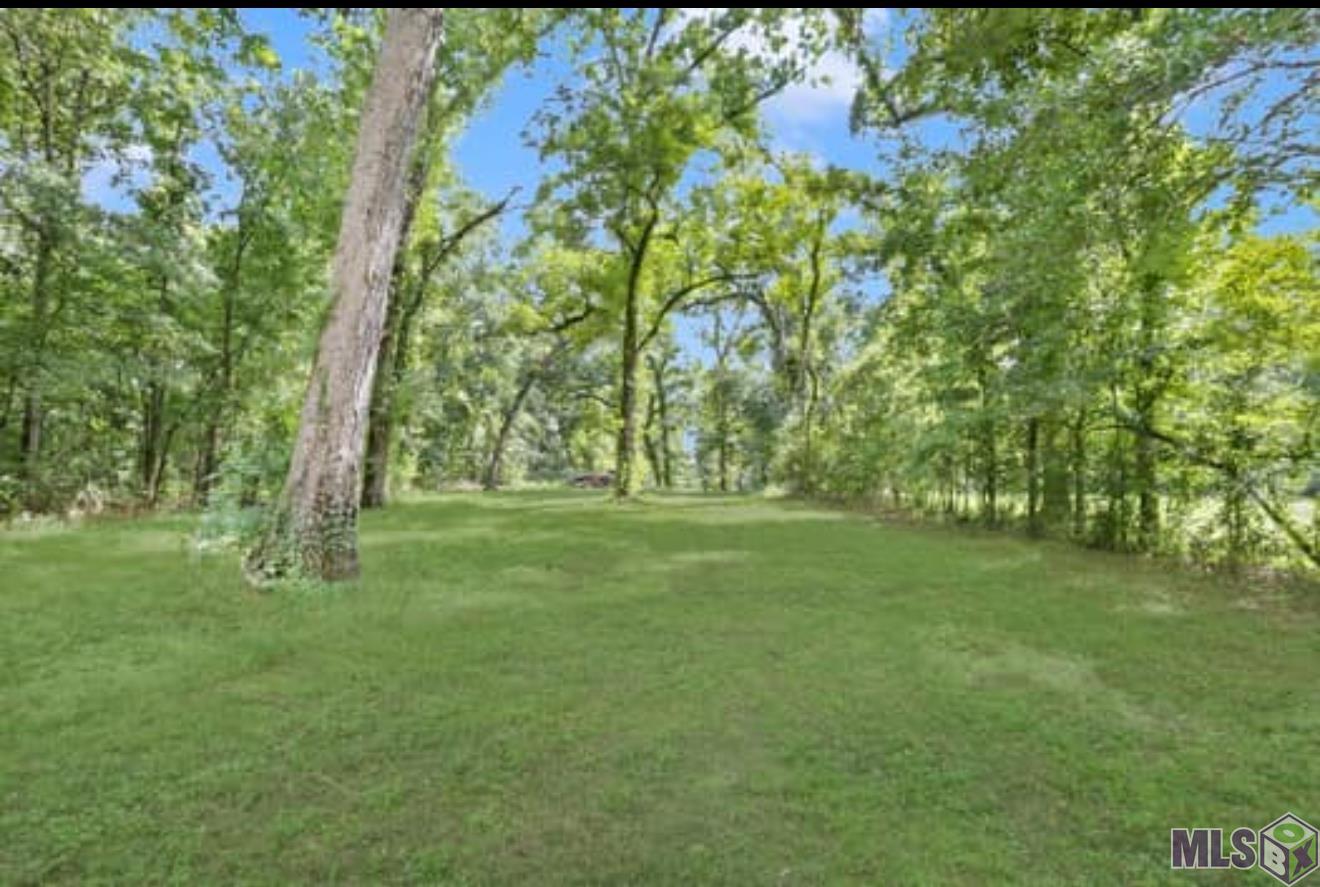 Lot A Island Road Jarreau, LA 70749 - Photo 19 of 22