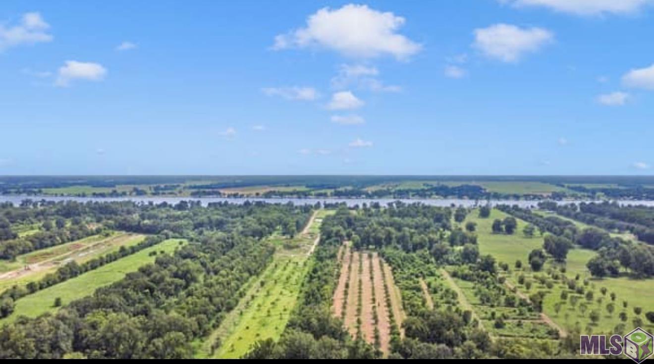 Lot A Island Road Jarreau, LA 70749 - Photo 5 of 22