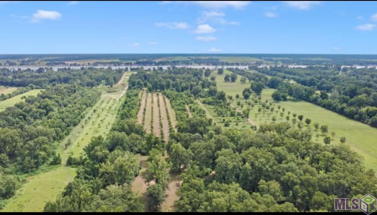 Lot A Island Road Jarreau, LA 70749 - Photo 7 of 22