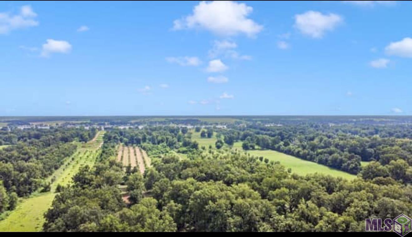 Lot A Island Road Jarreau, LA 70749 - Photo 8 of 22