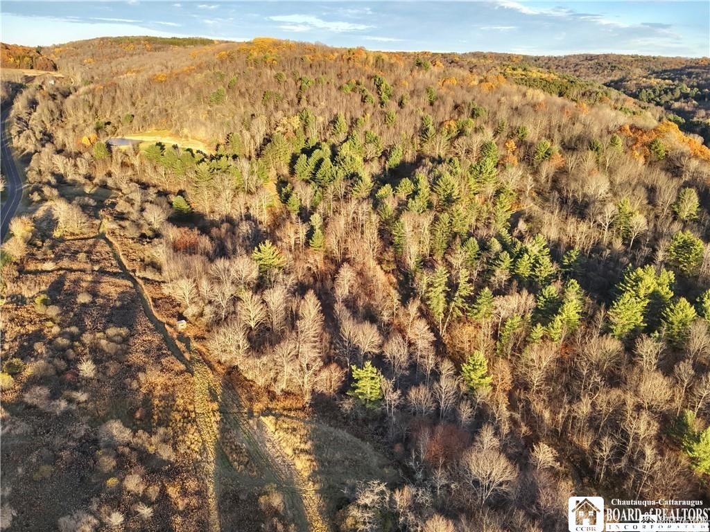 8 Co Road Friendship, NY 14739 - Photo 18 of 25