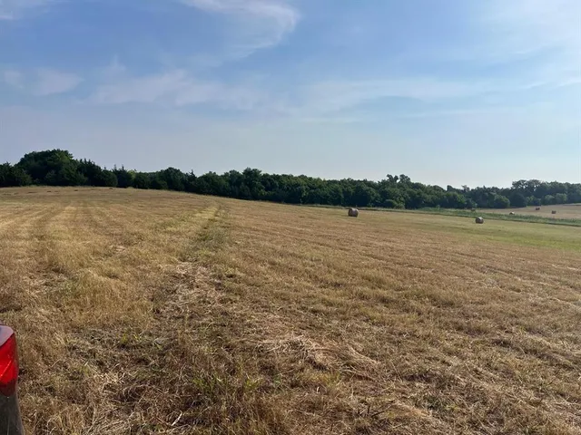 a view of a small yard