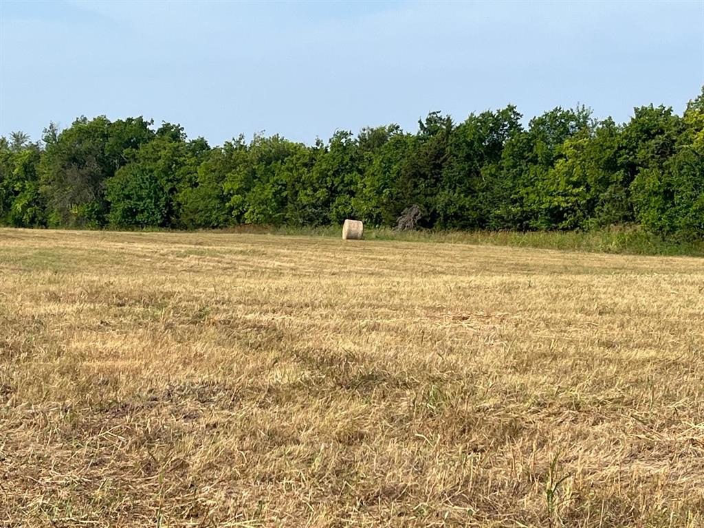 17560 East Fm 1396 Windom, TX 75492 - Photo 12 of 18 a view of a field with trees in the background