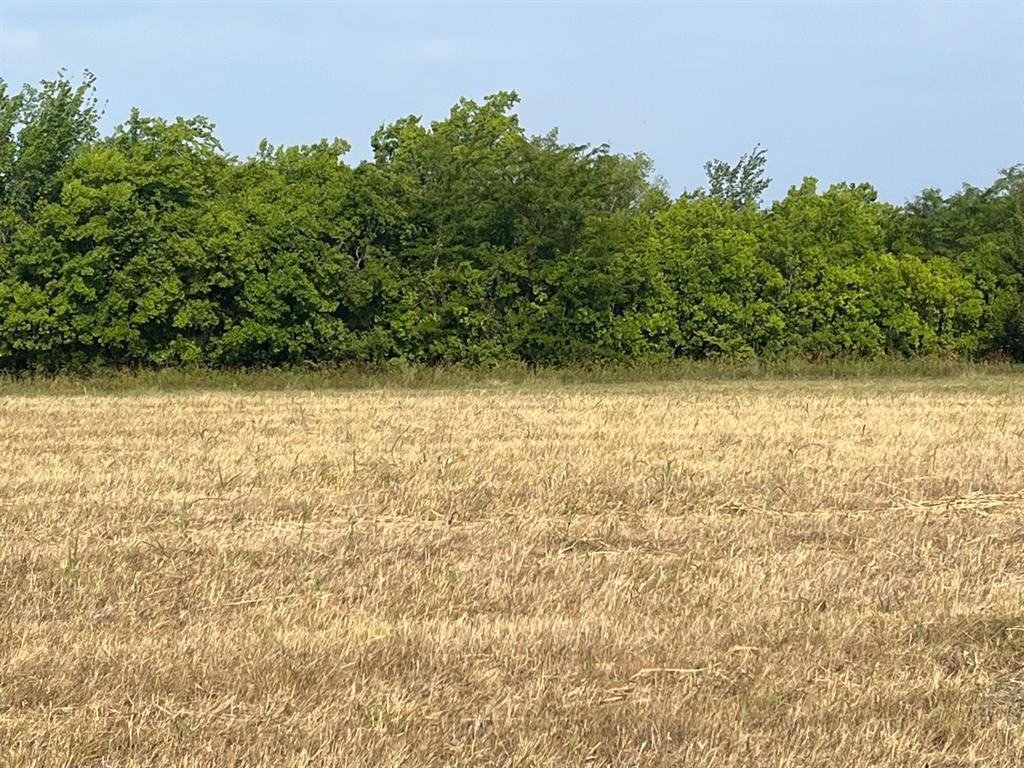 17560 East Fm 1396 Windom, TX 75492 - Photo 13 of 18 a view of a small yard