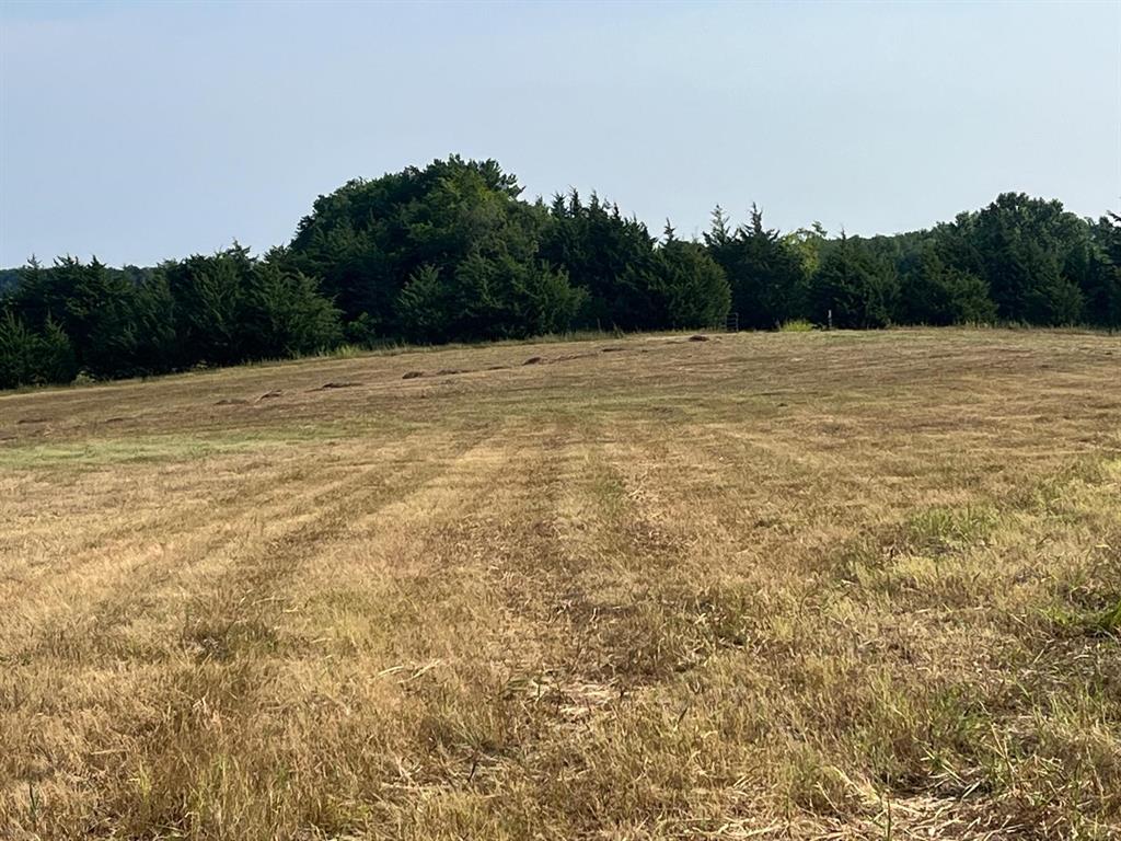 17560 East Fm 1396 Windom, TX 75492 - Photo 16 of 18 a view of a lake view