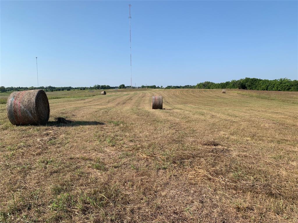 17560 East Fm 1396 Windom, TX 75492 - Photo 6 of 18