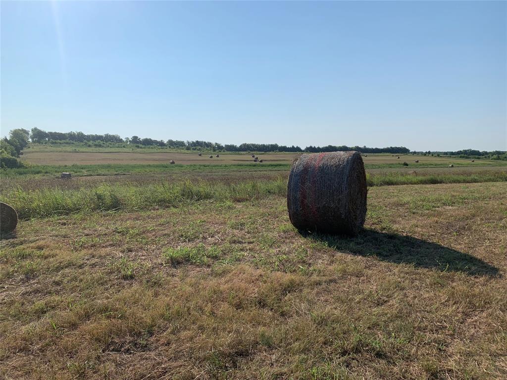 17560 East Fm 1396 Windom, TX 75492 - Photo 8 of 18 a view of a lake from a yard