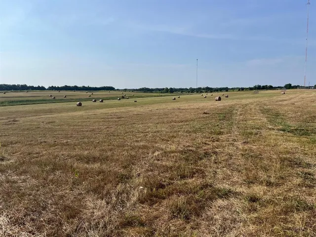 a view of a field with trees in the background