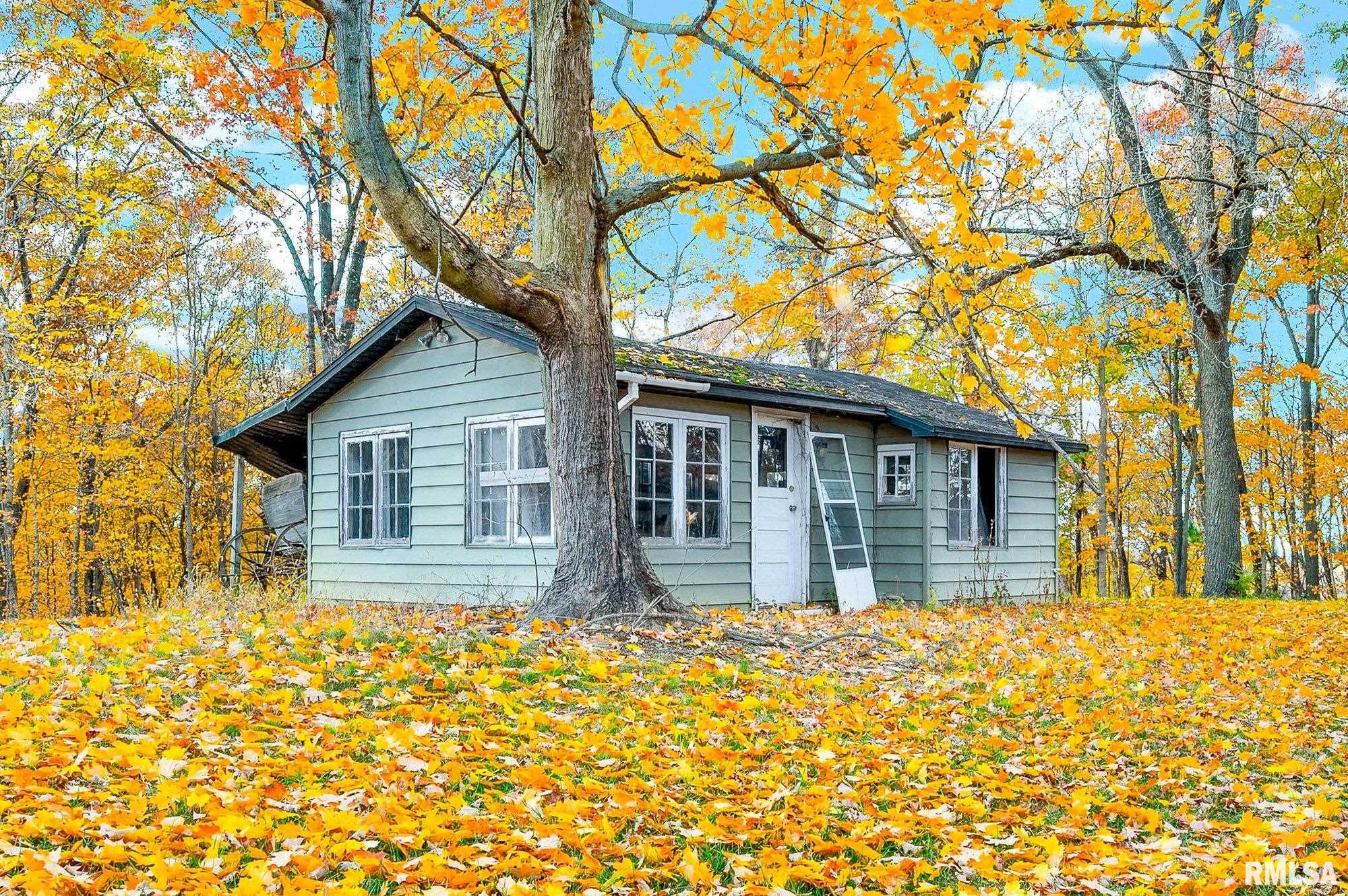 22500 Spring Creek Road Washington, IL 61571 - Photo 85 of 100