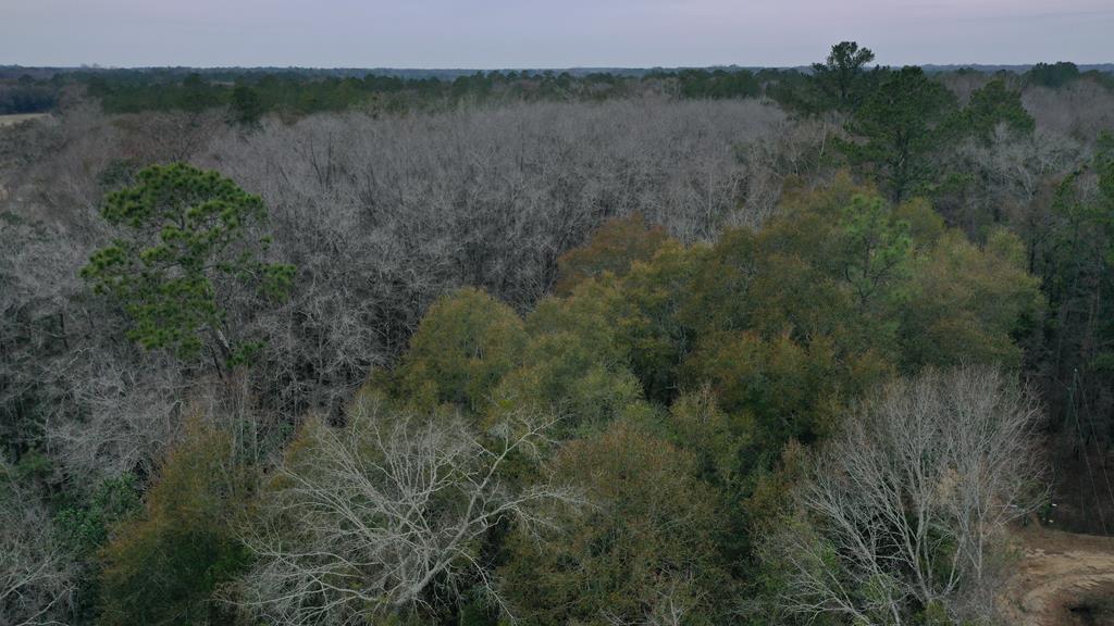 15.05 Pera Road Samson, AL 36477 - Photo 17 of 29