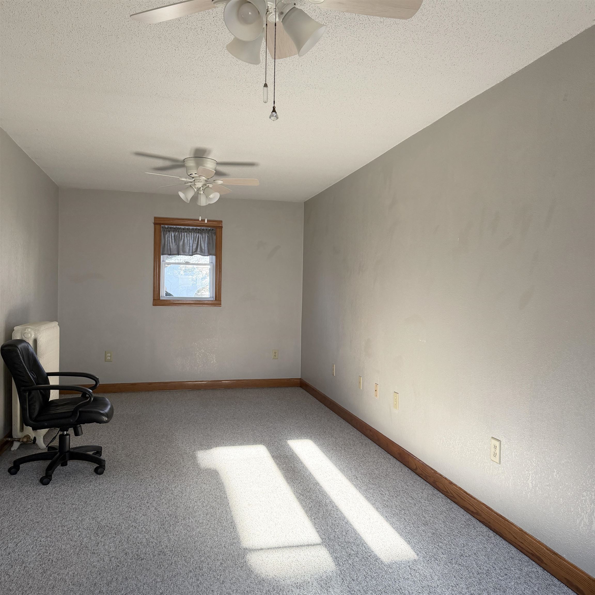 610 1st Street Bloomington, WI 53804 - Photo 19 of 65