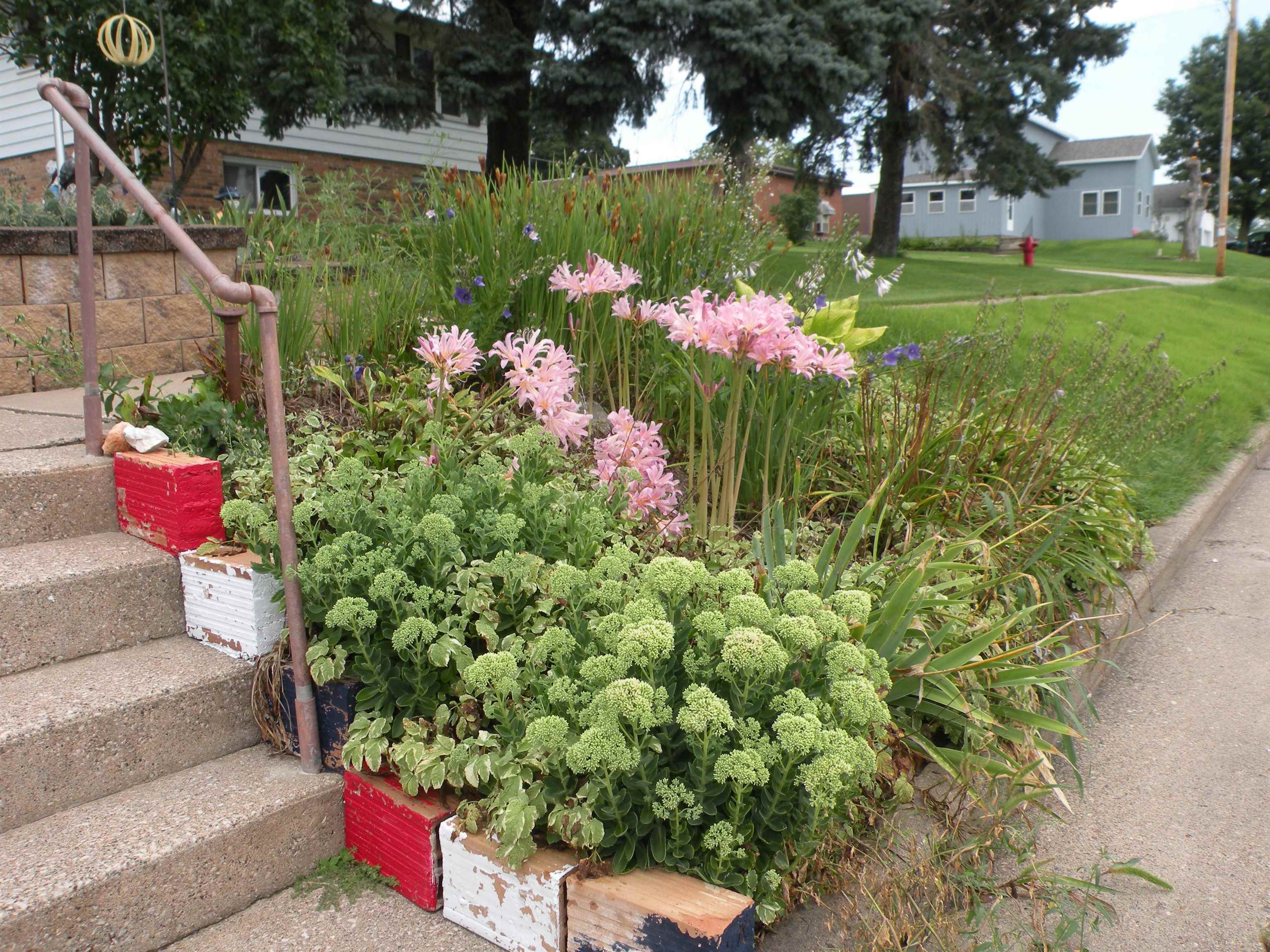 610 1st Street Bloomington, WI 53804 - Photo 44 of 65