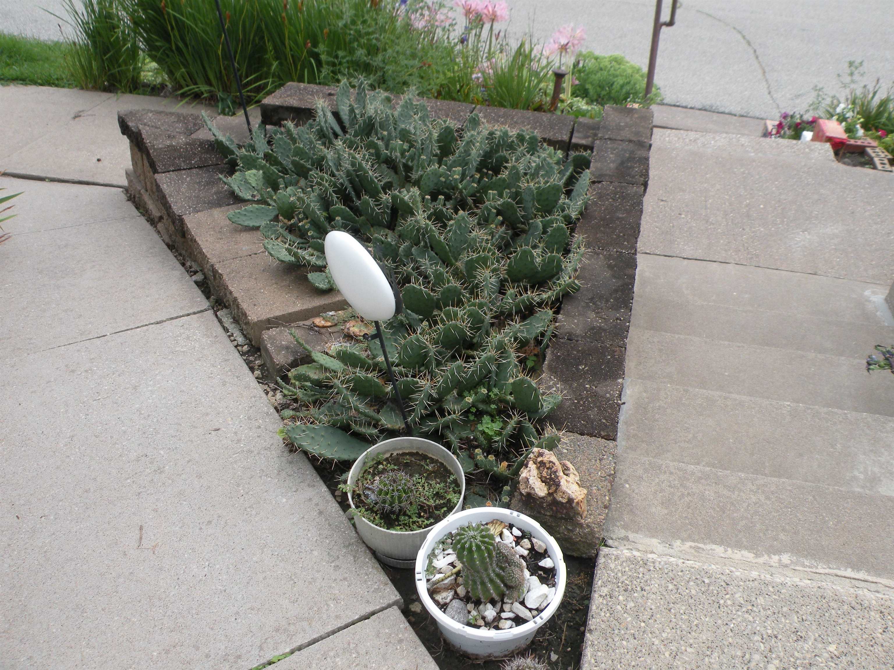 610 1st Street Bloomington, WI 53804 - Photo 47 of 65