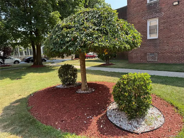 a view of a yard with swimming pool