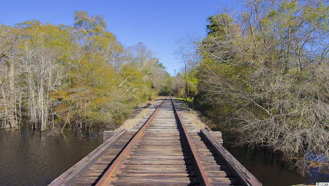 1012 Trails Road Conway, SC 29527 - Photo 23 of 32 Gallery Image 23