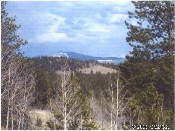 276 Hunters Glen Road Hartsel, CO 80449 - Photo 1 of 1 Gallery Image 1