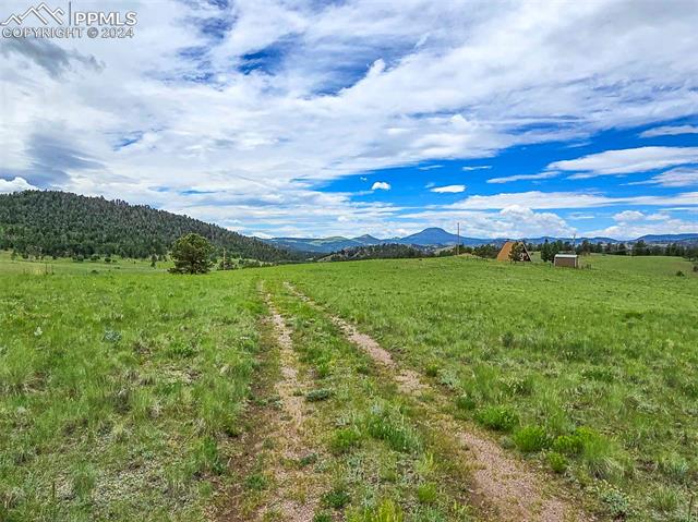 2529 Julia Road Guffey, CO 80820 - Photo 30 of 47