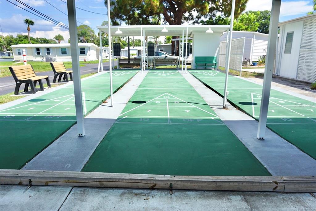 980 7th Street Northwest, Unit 71 Largo, FL 33770 - Photo 20 of 23 a view of backyard with swimming pool
