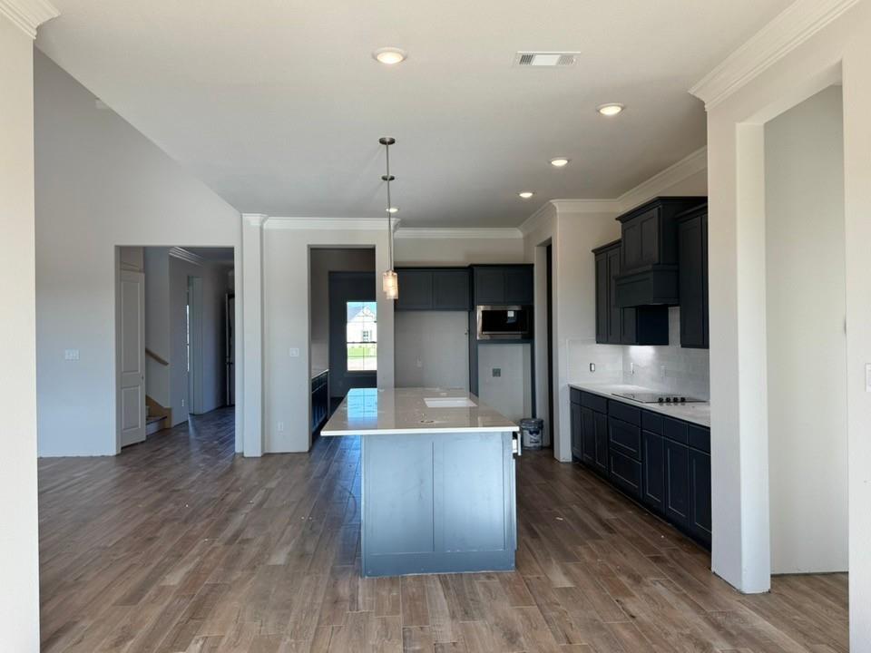 2209 Continent Court Krum, TX 76249 - Photo 11 of 24 a view of a kitchen with cabinets and wooden floor