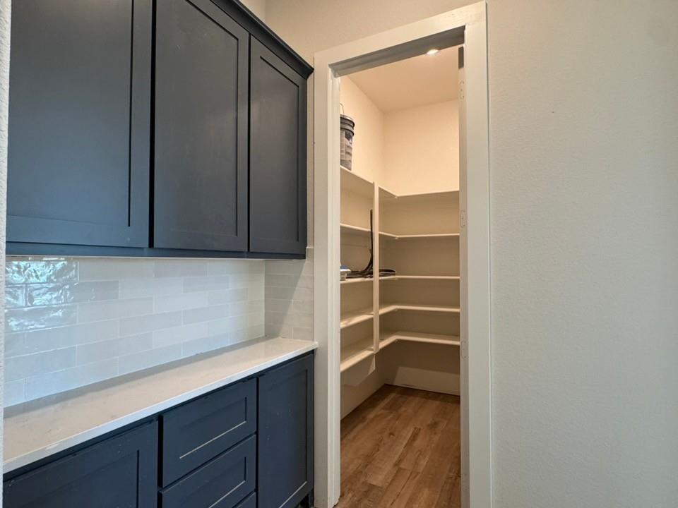 2209 Continent Court Krum, TX 76249 - Photo 14 of 24 a view of a walk in closet