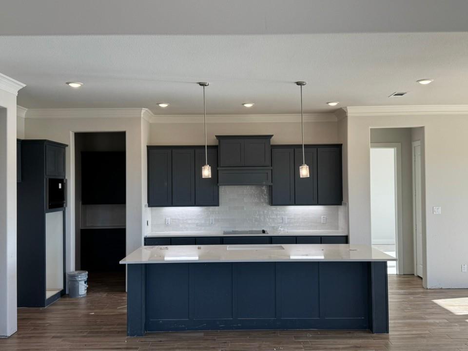 2209 Continent Court Krum, TX 76249 - Photo 10 of 24 a large kitchen with stainless steel appliances a large counter top