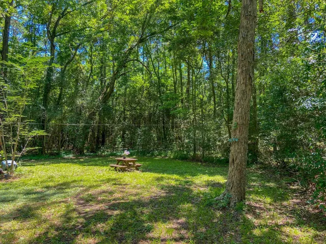 a big yard with lots of green space and trees