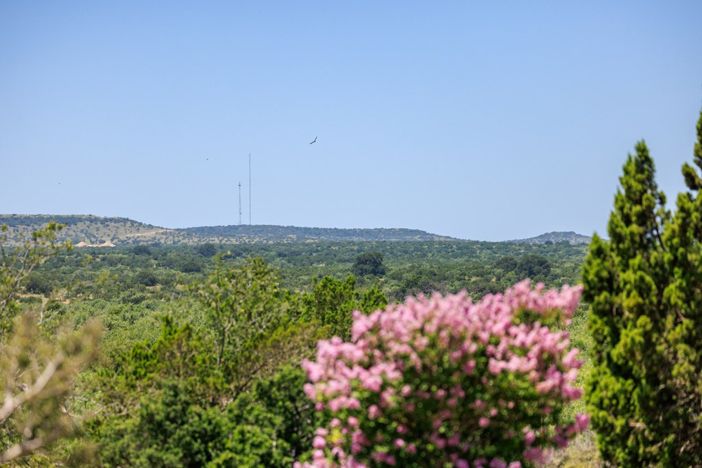 16251 Door Key Road San Angelo, TX 76904 - Photo 11 of 69 a view of a bunch of flowers in a field