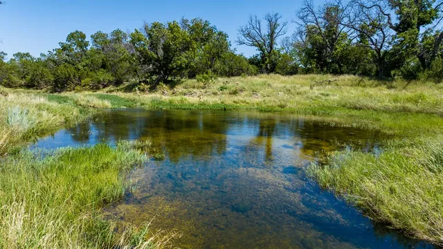 a view of a lake from a yard