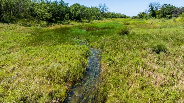 a big yard with lots of green space